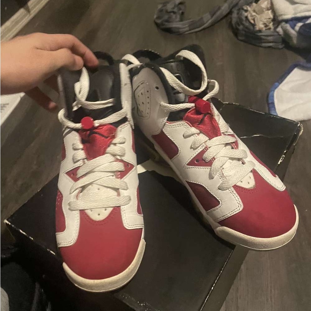 Air Jordan 6s
